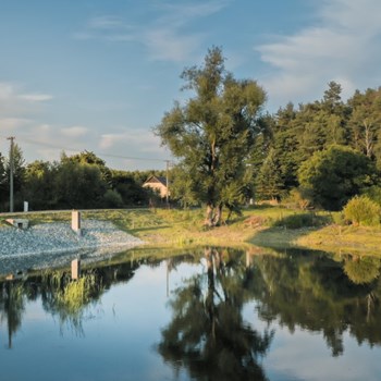 Revitalizace rybníka v obci Jestřebí